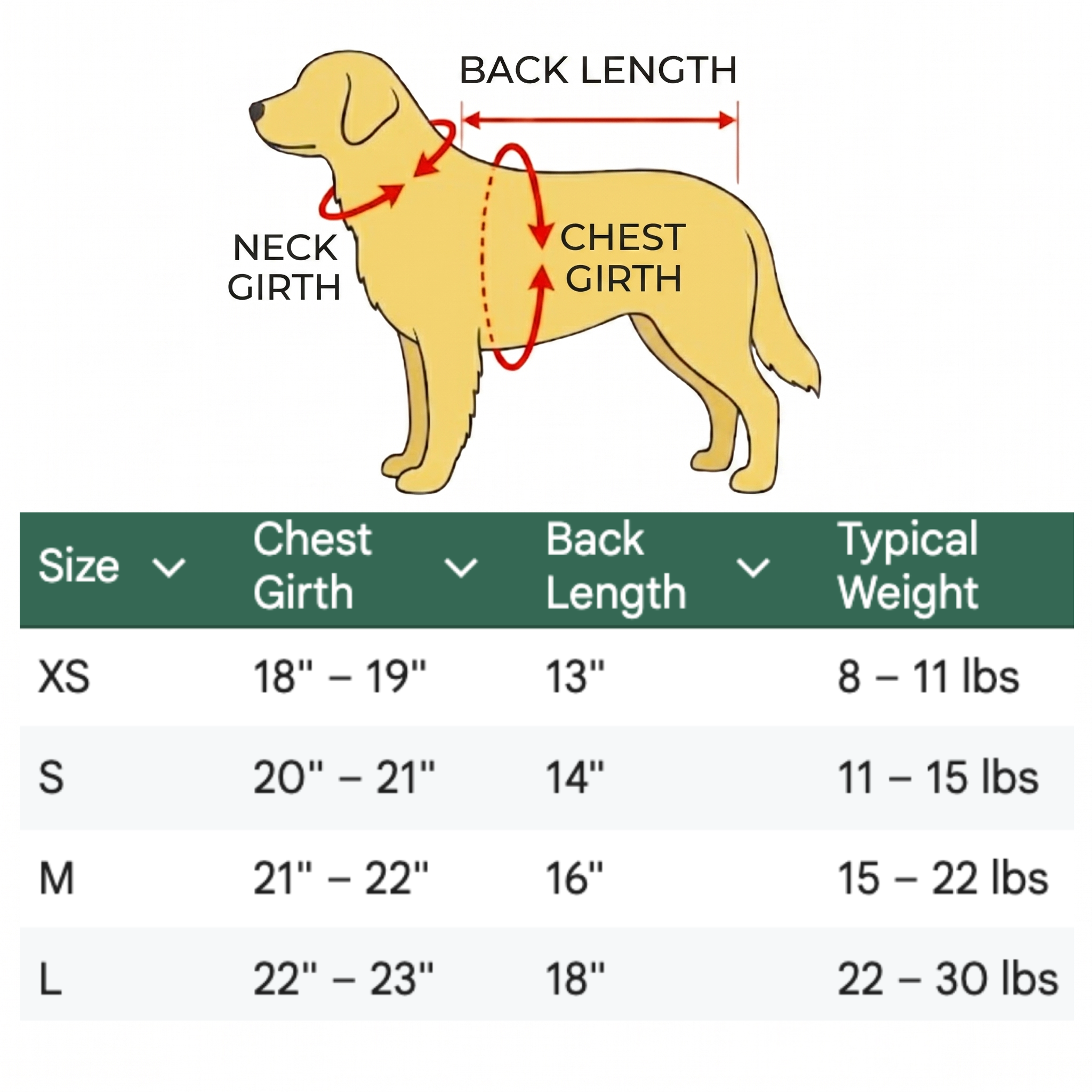 Waterproof Winter Dog Jacket, with Harness