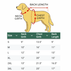 Luxury Feather Down Jacket for Dogs