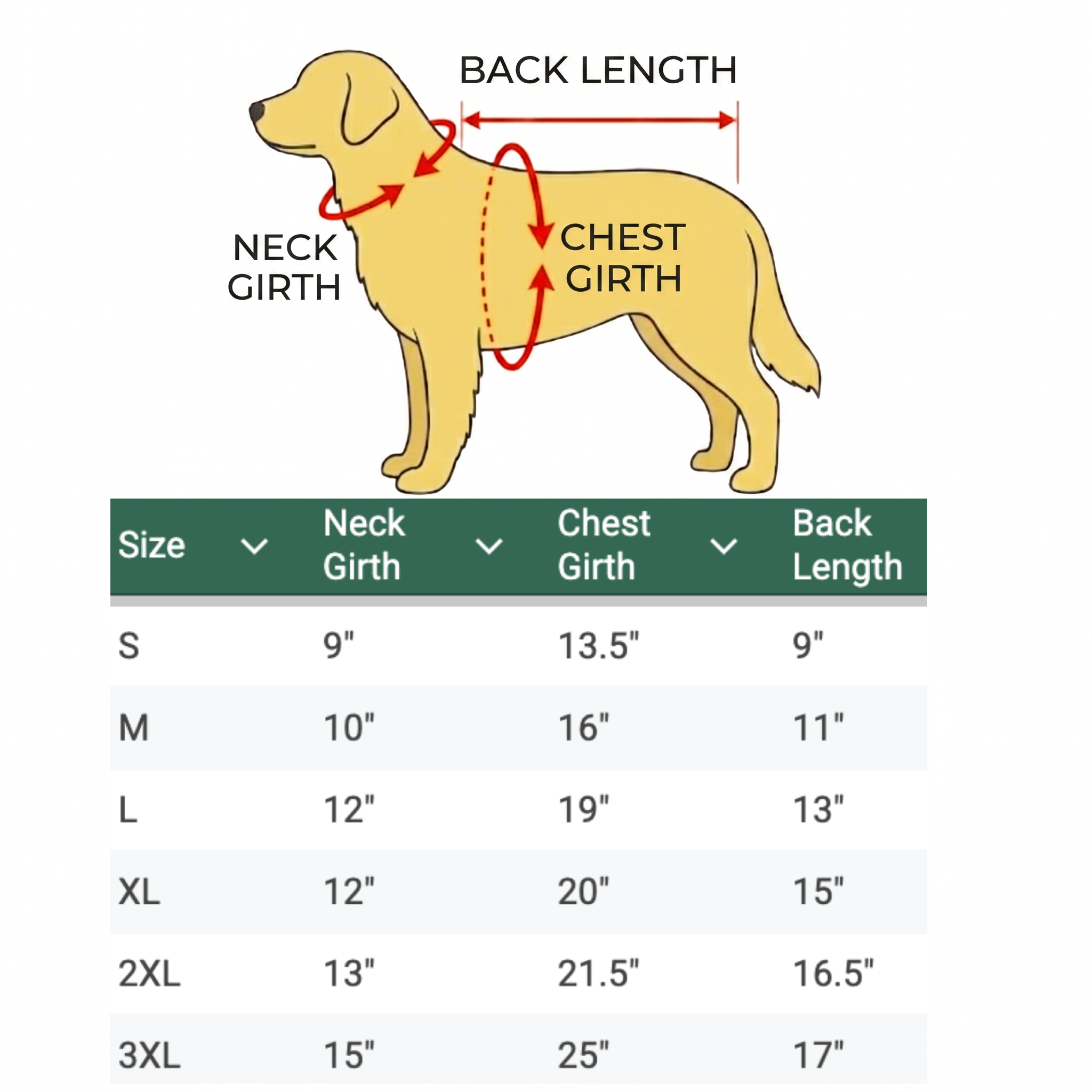 Luxury Feather Down Jacket for Dogs