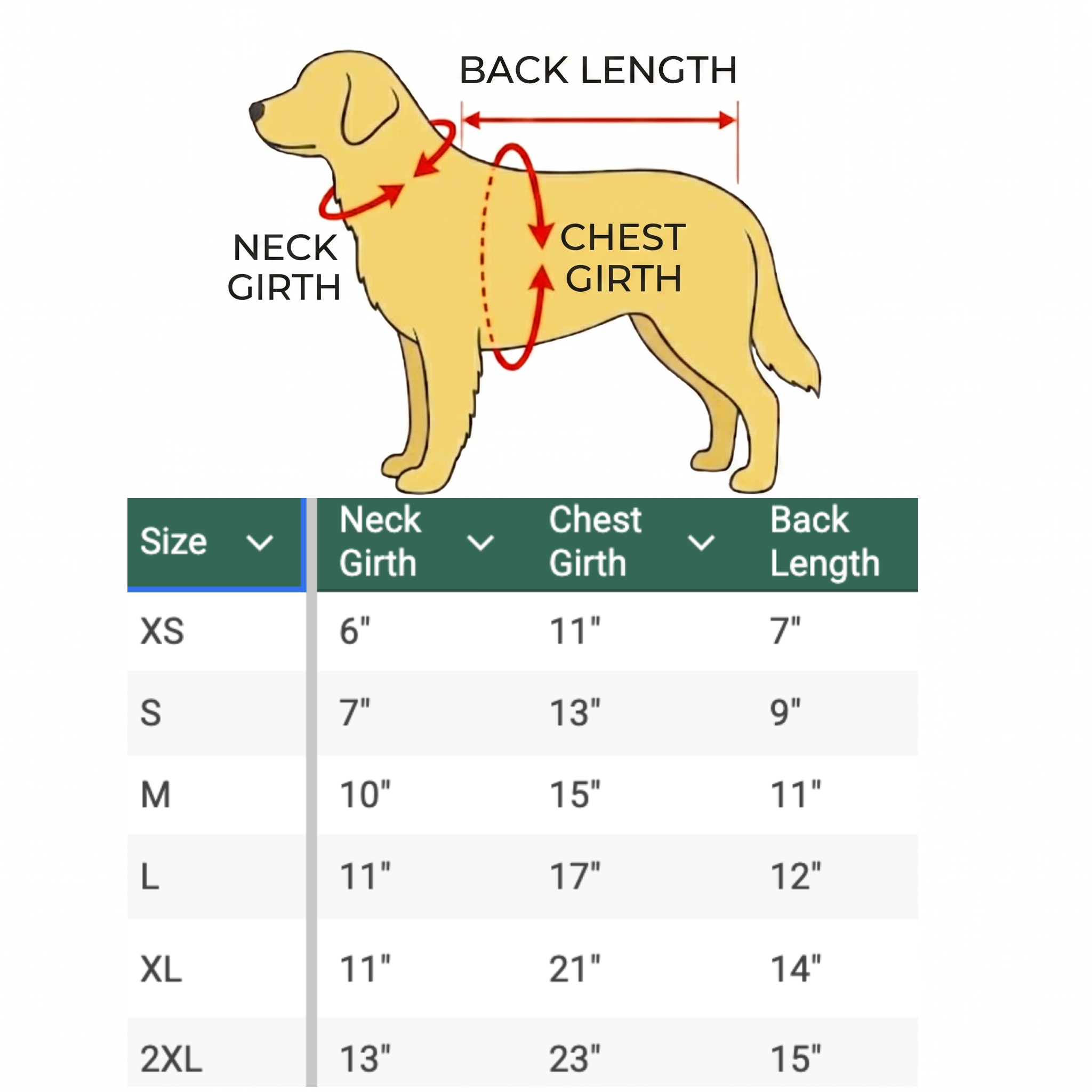 Striped Stretch Knit Dog Polo