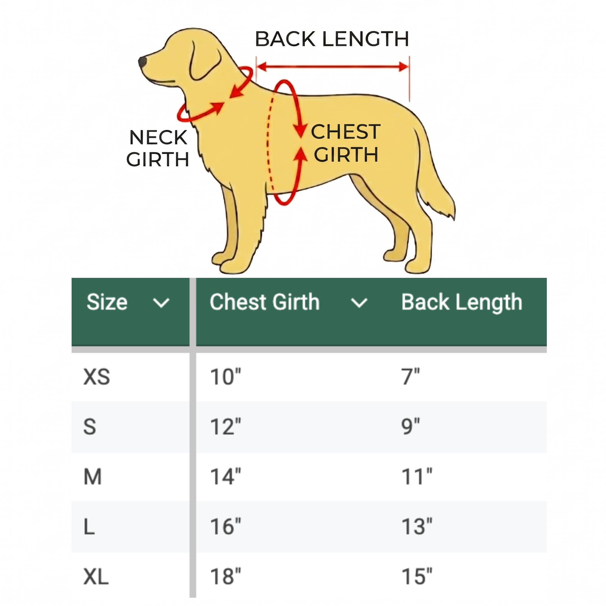 Embroidered Preppy Dog Polo