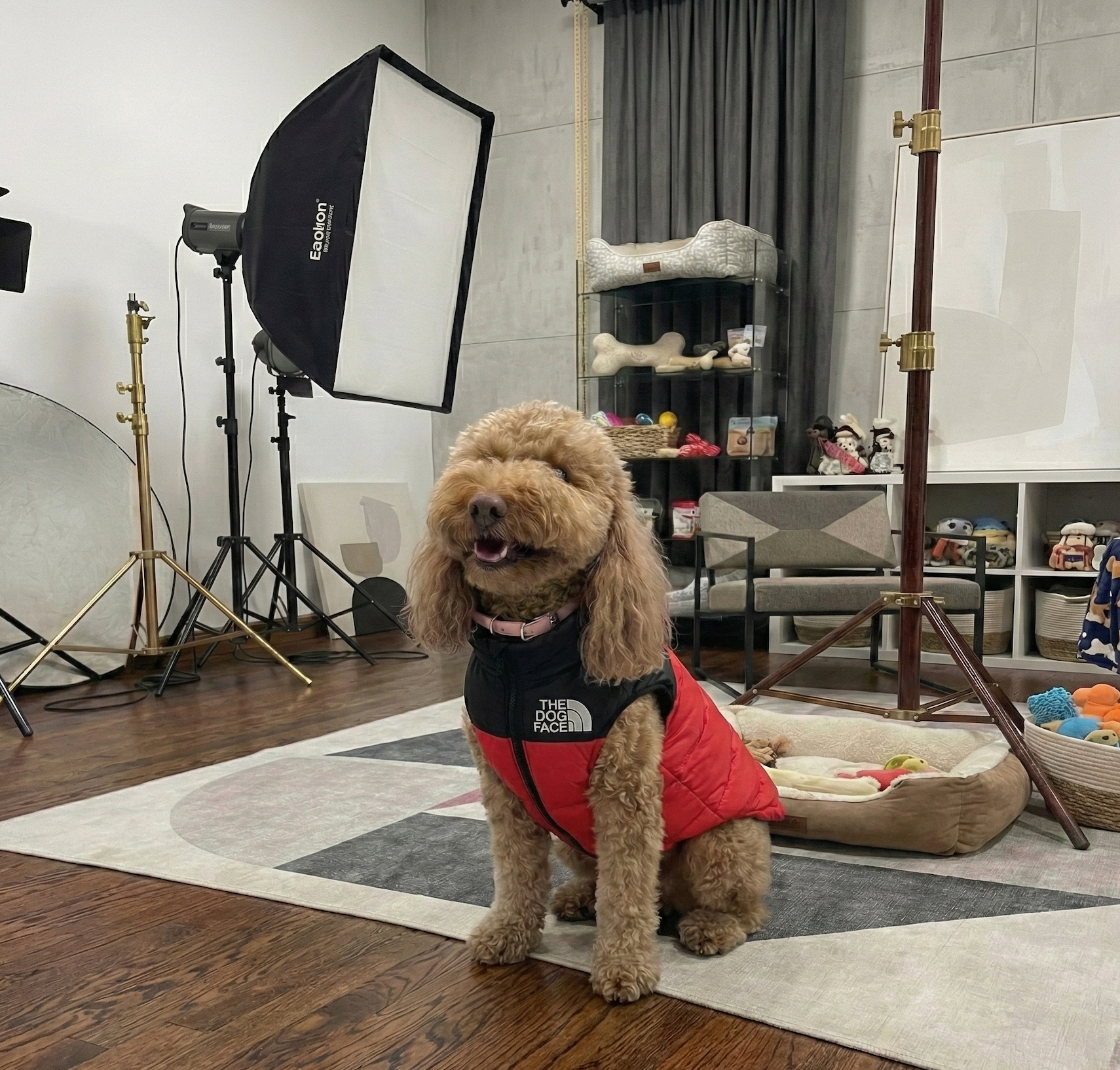 Luxury Feather Down Jacket for Dogs
