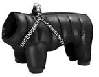 Waterproof Winter Dog Jacket, with Harness