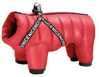 Waterproof Winter Dog Jacket, with Harness