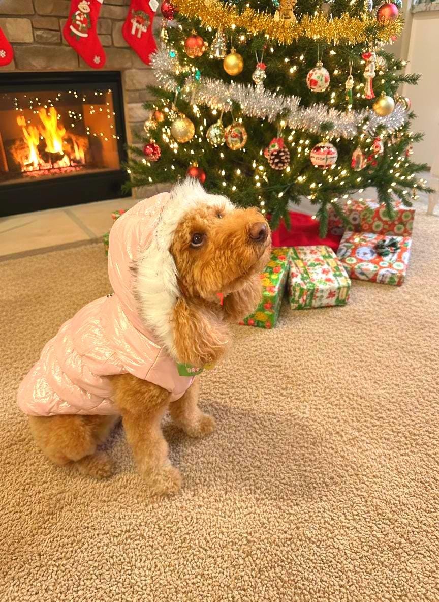 Faux Fur Hooded Dog Puffer Coat, with Harness D-ring