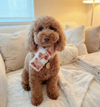 Faux Fur Bow Scarf, for Dogs & Cats
