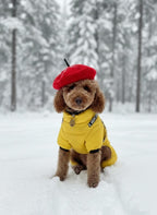 Waterproof Winter Dog Jacket, with Harness