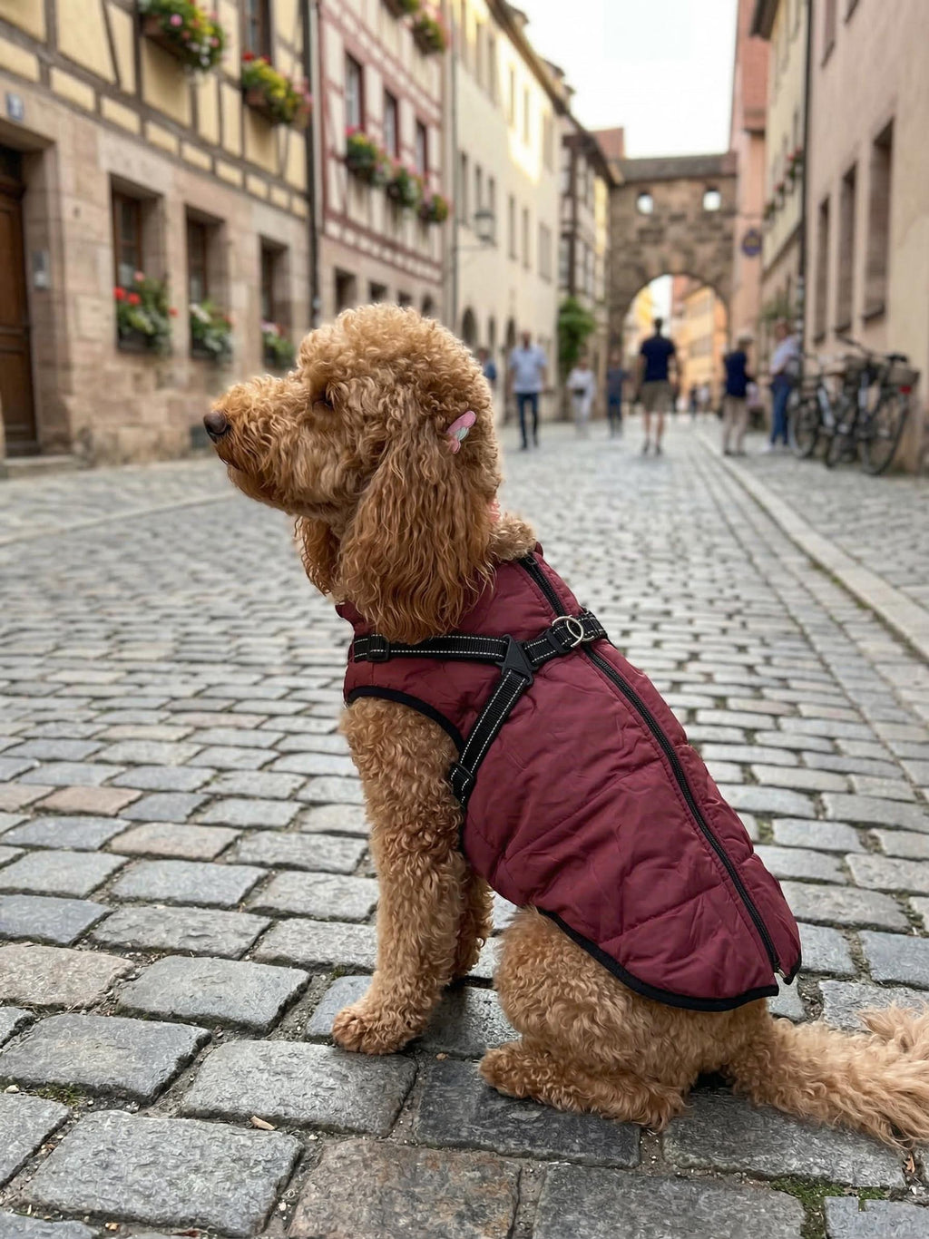 Waterproof High-Collar Dog Puffer Vest, with Harness D-rings