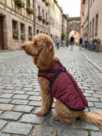 Waterproof High-Collar Dog Puffer Vest, with Harness D-rings