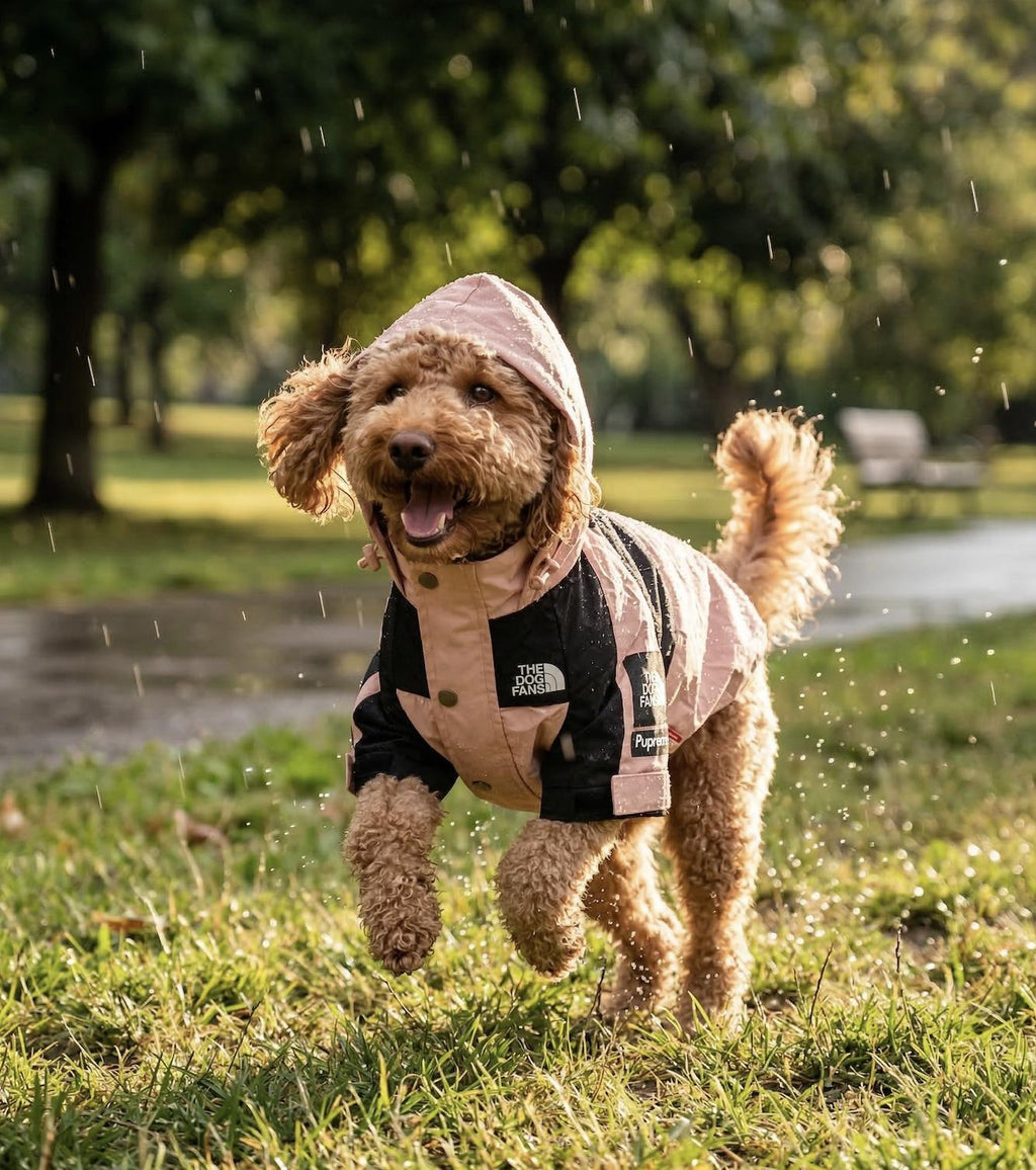 Premium Dog Raincoat