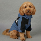 Premium Dog Raincoat