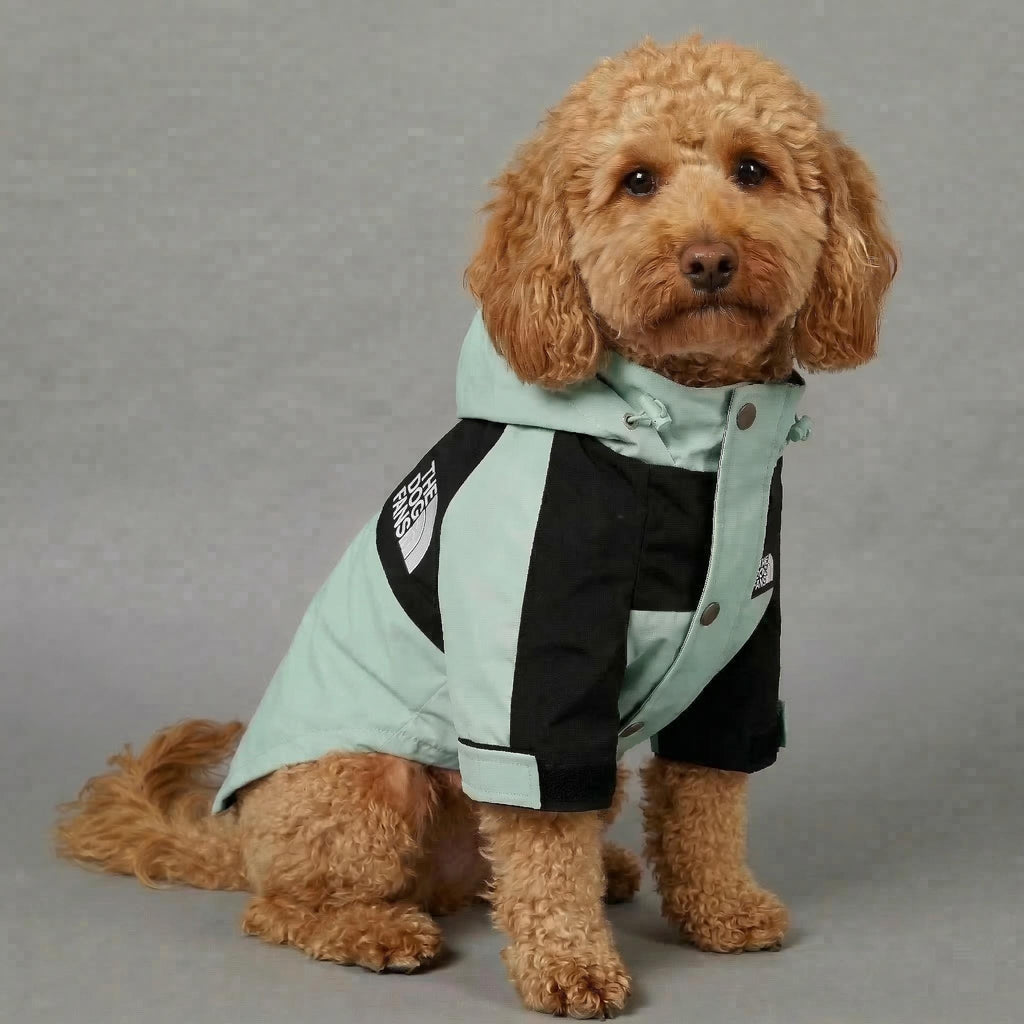 Premium Dog Raincoat