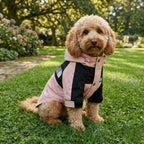 Premium Dog Raincoat