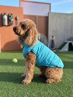 Reversible Waterproof Dog Vest, with Night Reflective Strips