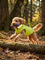 Reversible Waterproof Dog Vest, with Night Reflective Strips