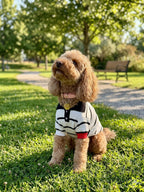 Striped Stretch Knit Dog Polo