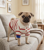 Striped Stretch Knit Dog Polo