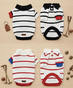 Striped Stretch Knit Dog Polo