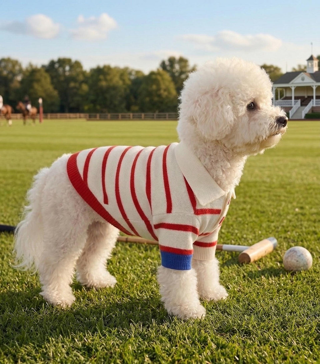 Striped Stretch Knit Dog Polo