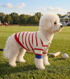 Striped Stretch Knit Dog Polo
