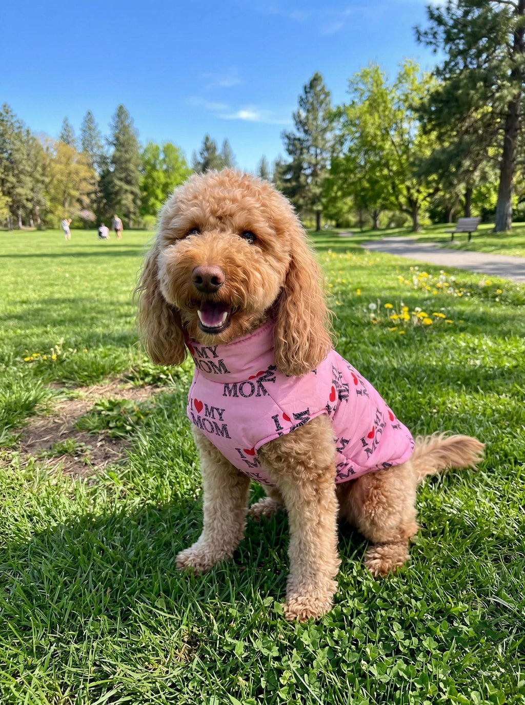 I Heart Mom & Dad Dog Puffer Vest, with Harness D-rings