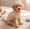 Embroidered Floral Dog Sweater