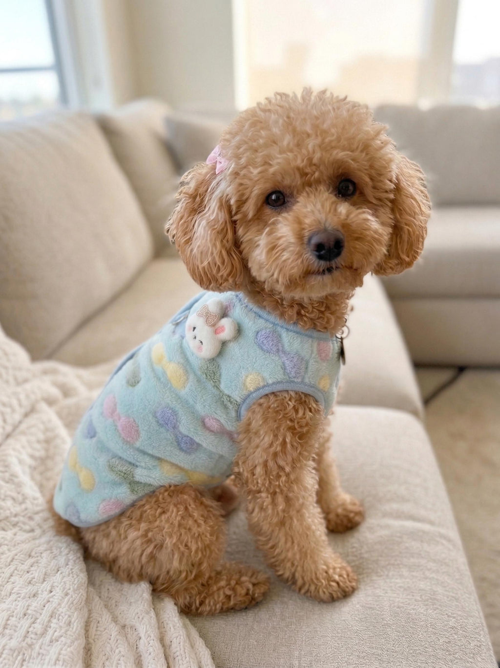 3D Bunny Sherpa Cardigan, for Dogs & Cats