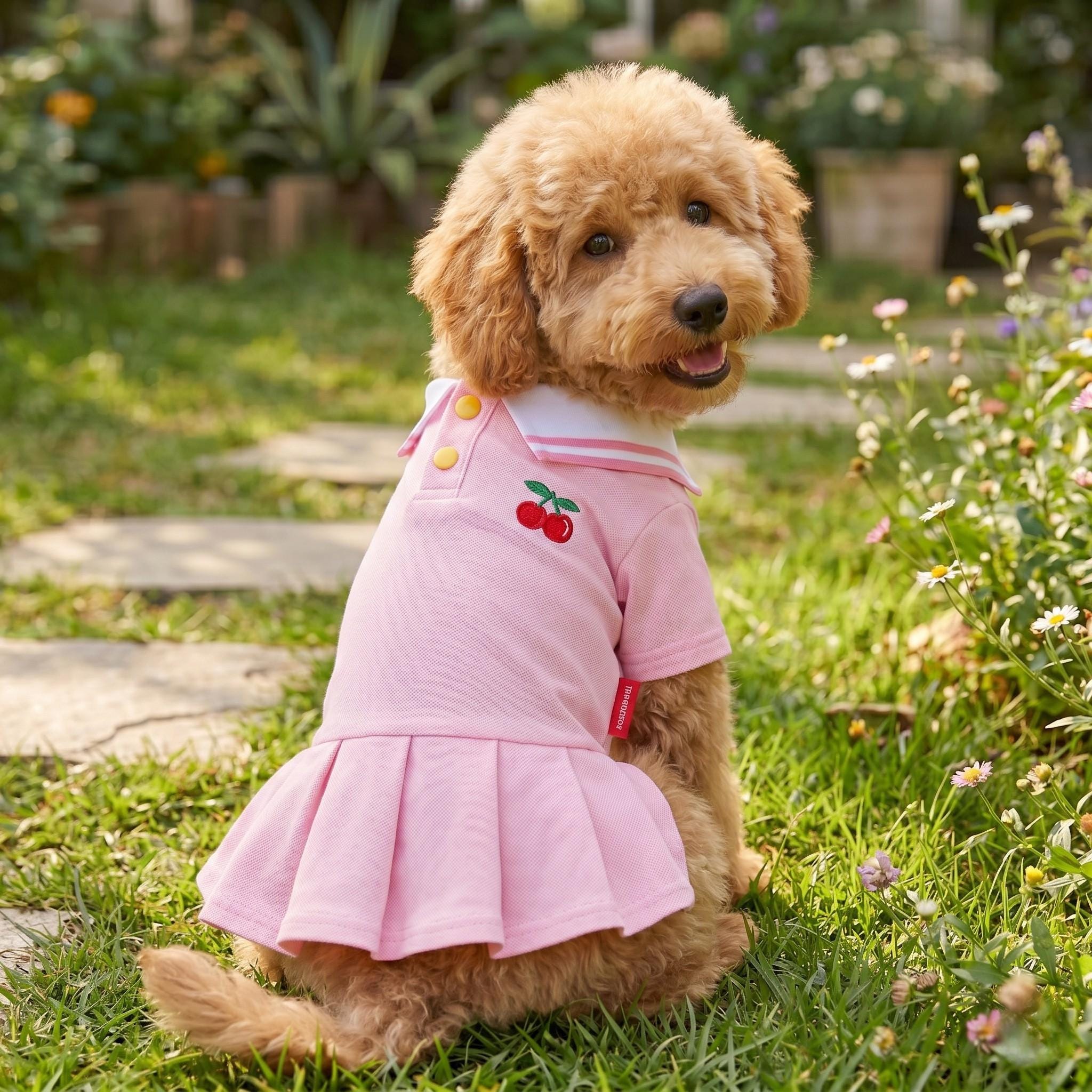 Preppy Polo Dog Dress