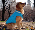 Reversible Waterproof Dog Vest, with Night Reflective Strips