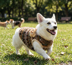 3D Bear Sherpa Cardigan, for Dogs & Cats