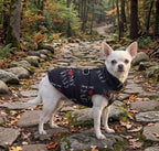 I Heart Mom & Dad Dog Puffer Vest, with Harness D-rings