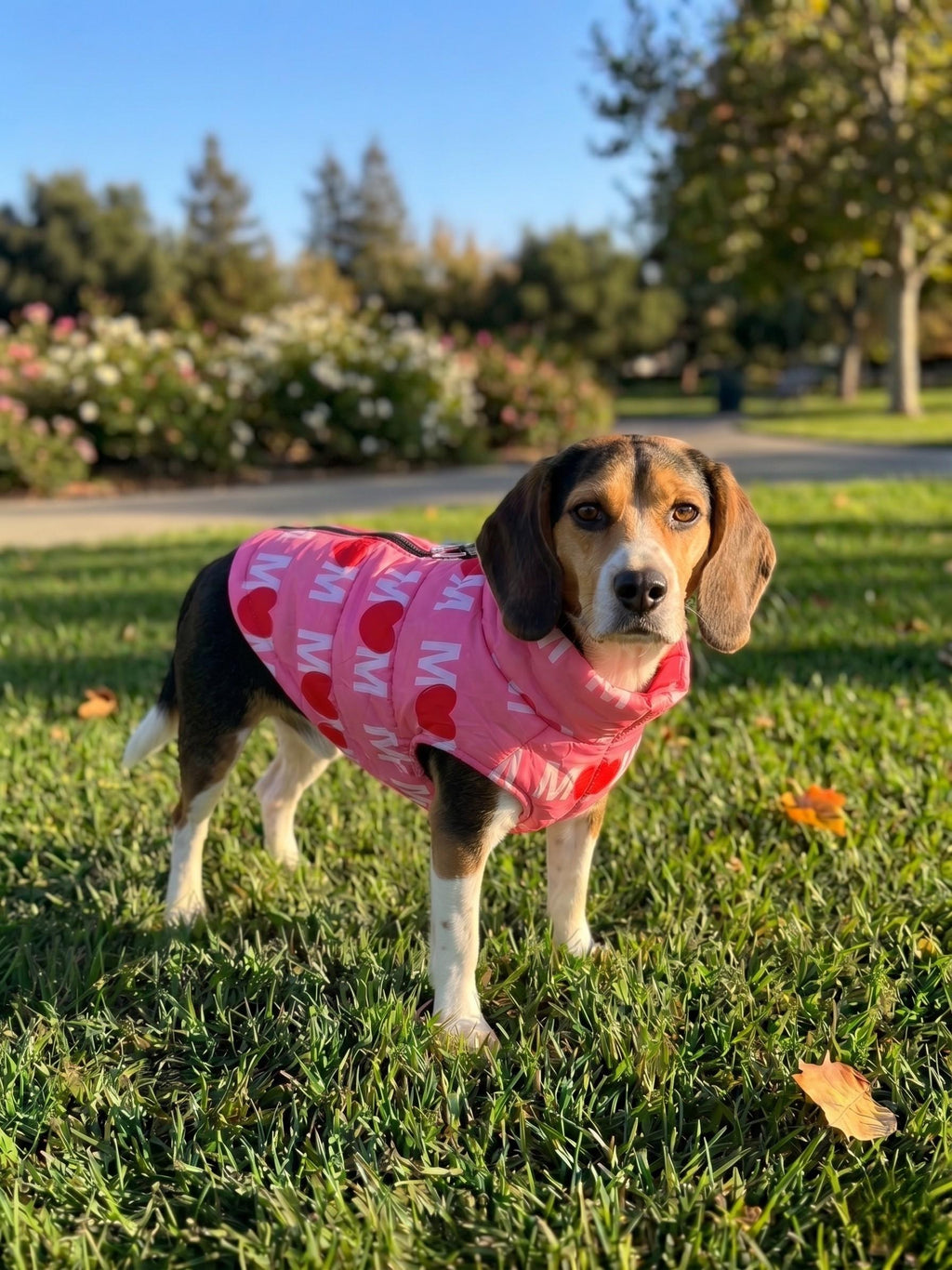 I Heart Mom & Dad Dog Puffer Vest, with Harness D-rings