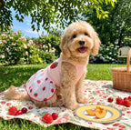 Strawberry Dress with Pink Tulle, for Dogs & Cats