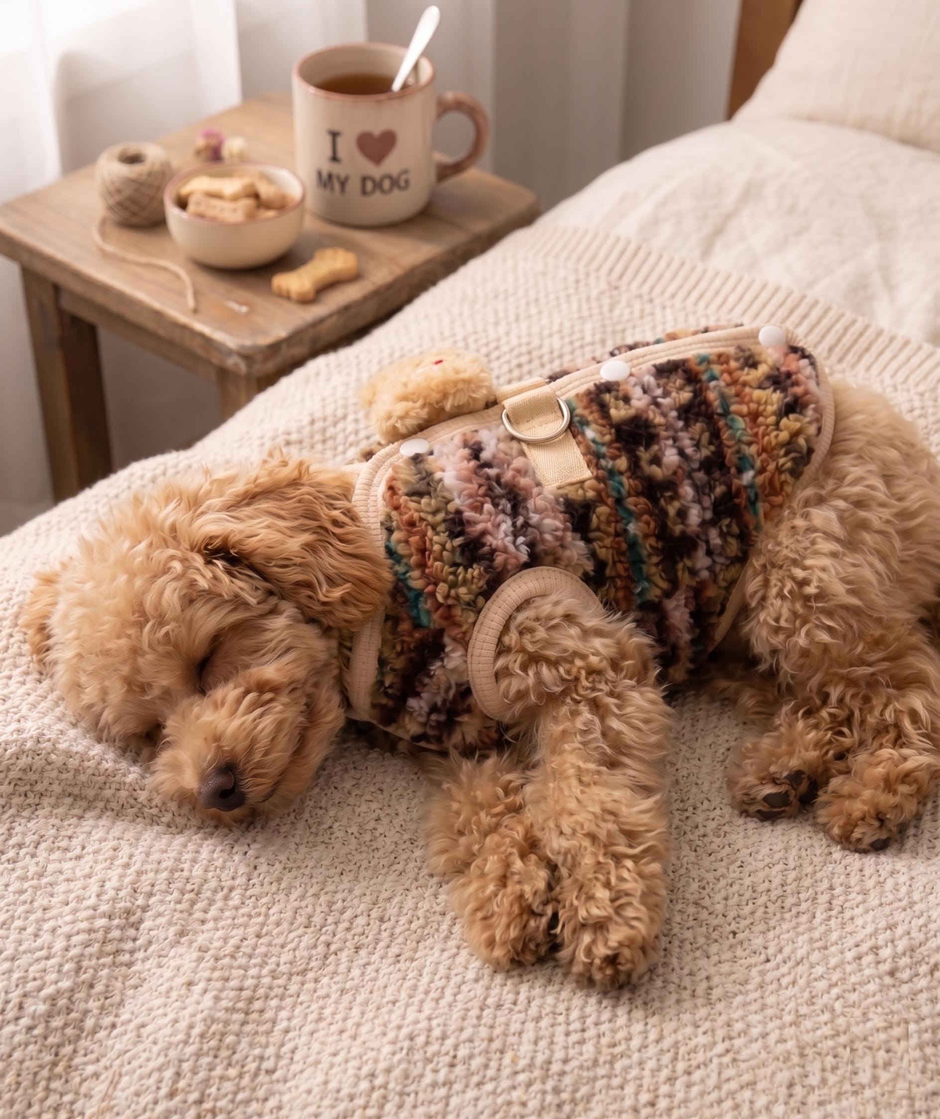 3D Bear Sherpa Cardigan, for Dogs & Cats