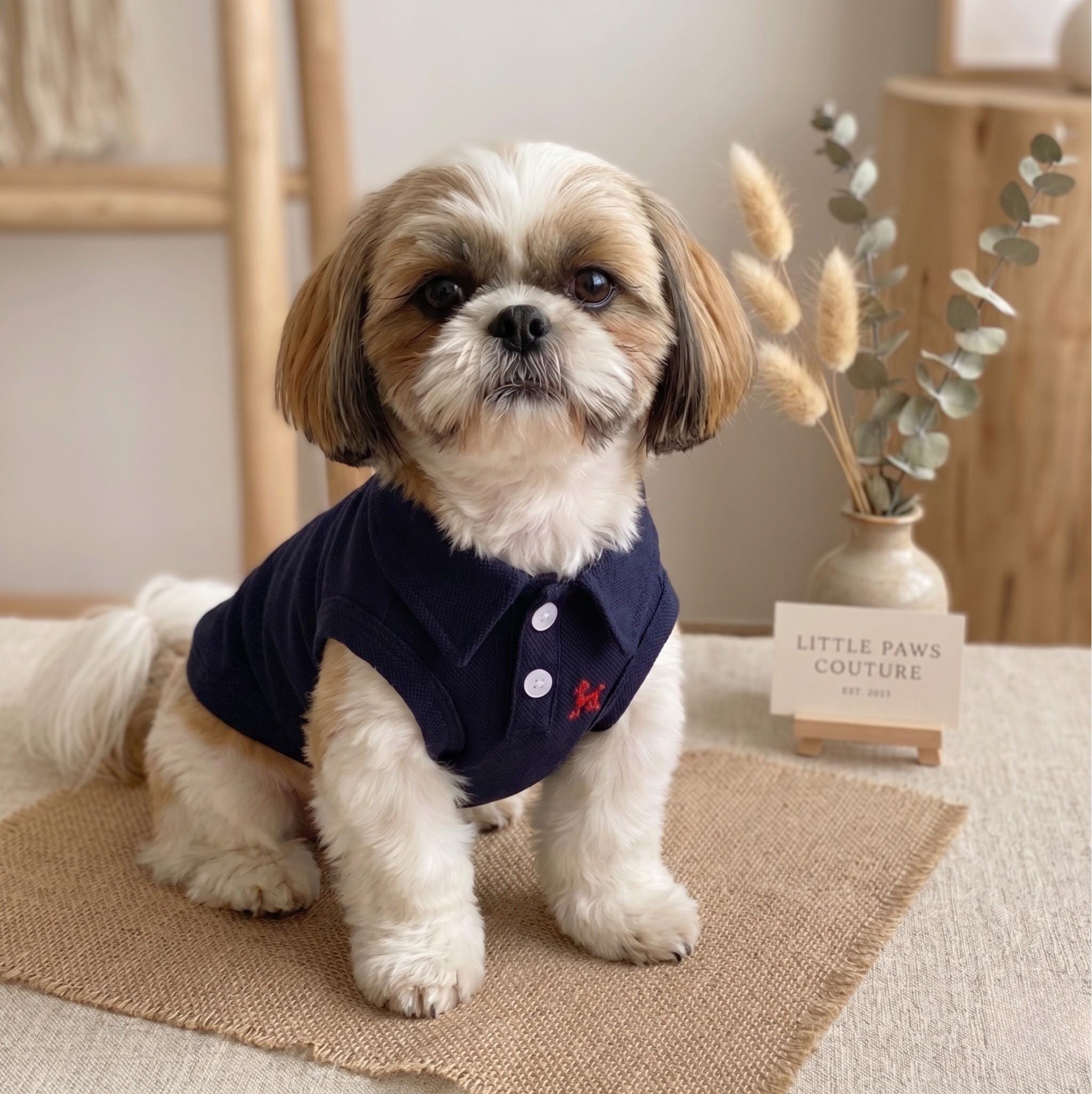 Embroidered Preppy Dog Polo