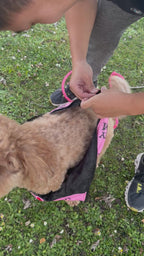 I Heart Mom & Dad Dog Puffer Vest, with Harness D-rings