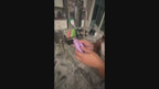 3-in-1 LED Pet Nail Clippers, for Dogs & Cats